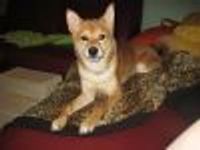 Joop Profile Photo