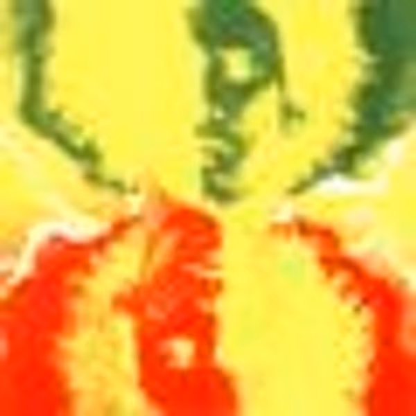 bingbong profile photo