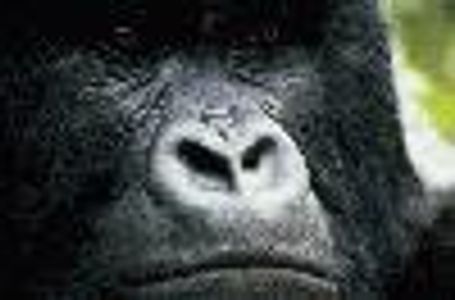 rick21 Profile Photo