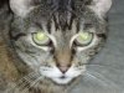 Ladyofthe Lake Profile Photo