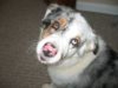 dented146 Profile Photo