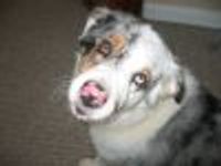 dented146 Profile Photo
