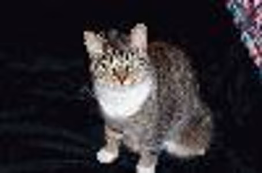 bettyschaefer profile photo
