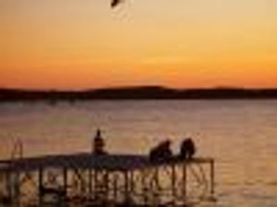 Wavetree Profile Photo