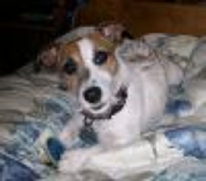 gertrudejessalynn profile photo