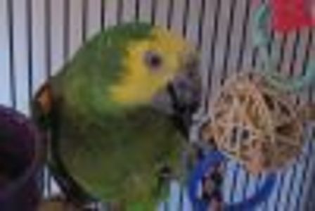 CostumeMistress Profile Photo