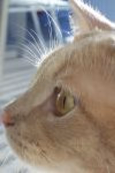 jenna2 profile photo