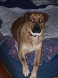 wayne2 Profile Photo