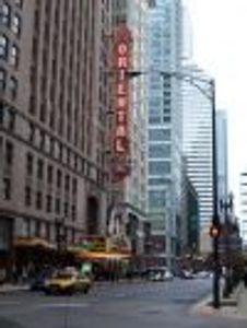 lakezurich Profile Photo