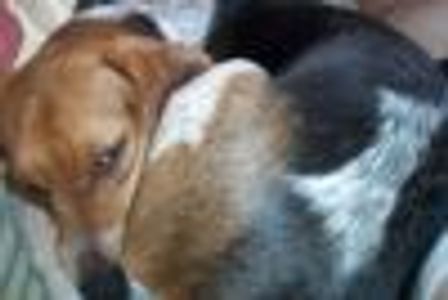 Fill In the Words Profile Photo