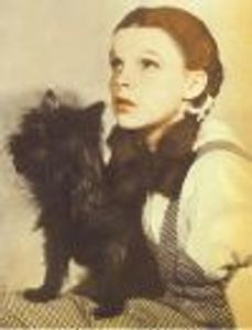 Lifeoftheparty2 Profile Photo