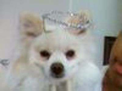 dramadame21 Profile Photo