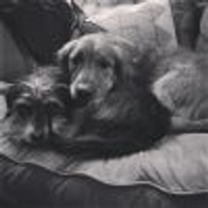 PVDColleen Profile Photo