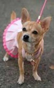 wicked4life51 Profile Photo