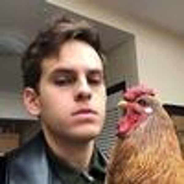 taylortrensch profile photo