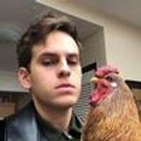 taylortrensch Profile Photo