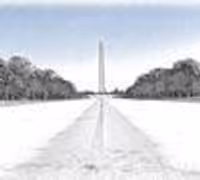 George in DC Profile Photo