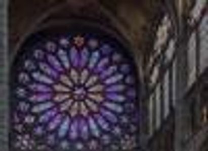 noschultz Profile Photo