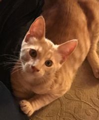 mlsheehan Profile Photo