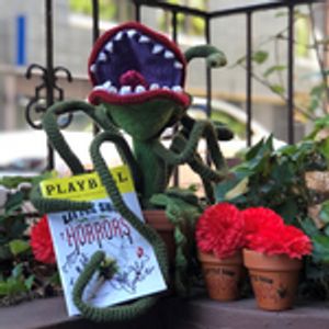 CarmenA3 Profile Photo