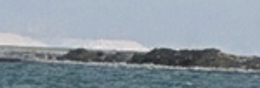 Synecdoche2 Profile Photo