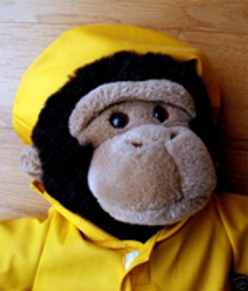 LuckyDipster profile photo