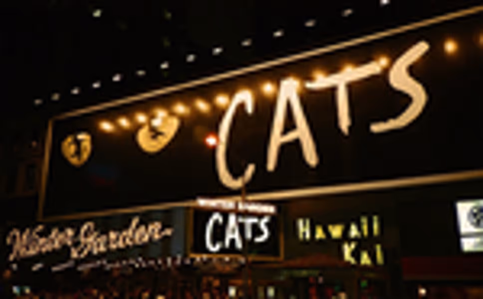 CATSNYrevival profile photo
