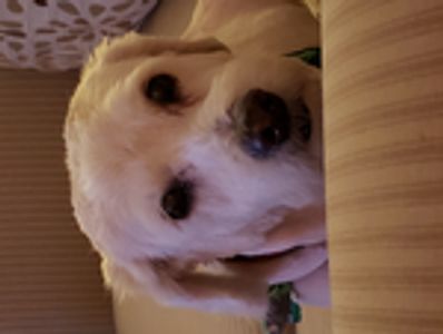 jagman106 Profile Photo