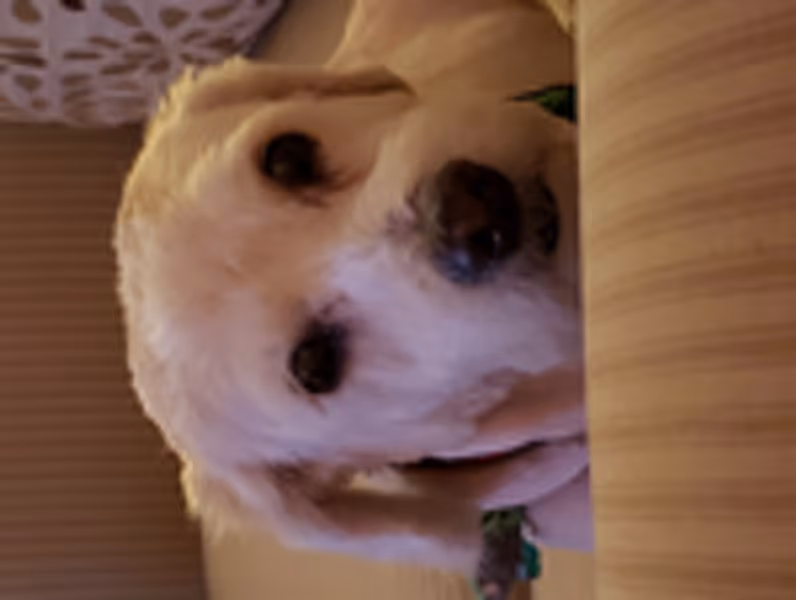 jagman106 profile photo