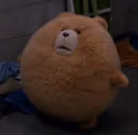 tacotheatrelover Profile Photo