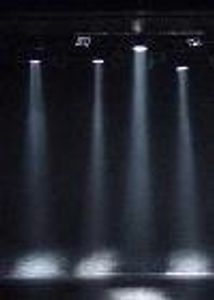 lostwallflower Profile Photo