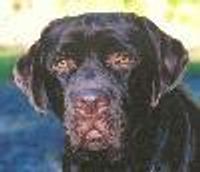 broadwaybound2 Profile Photo