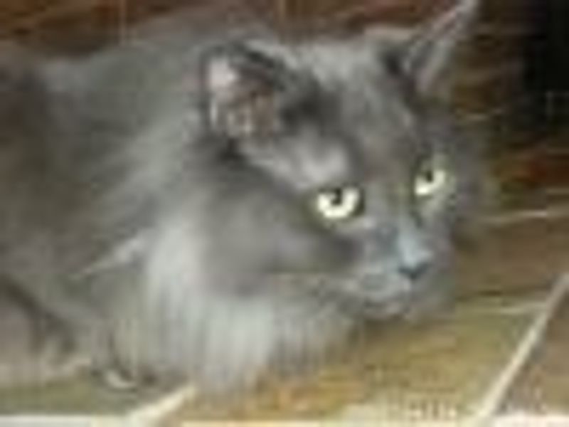 Doulton profile photo