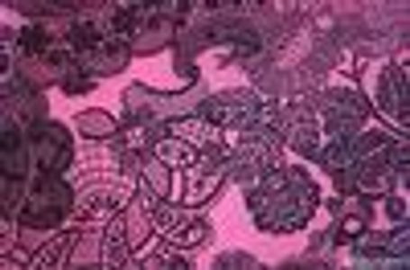 fuschiafury Profile Photo