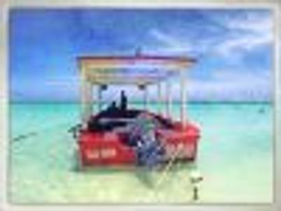 Lizardbeth Profile Photo