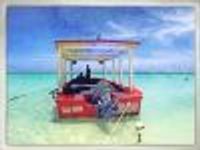 Lizardbeth Profile Photo