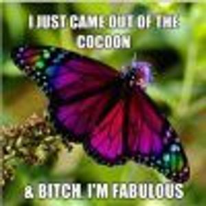 MassiveMeGo Profile Photo