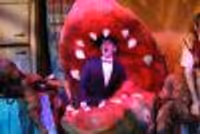 wickedbway Profile Photo