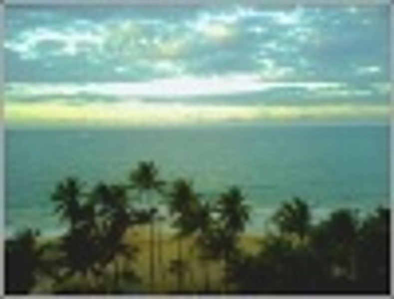 LouieLovesTheater profile photo