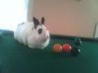 princess charlee Profile Photo