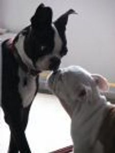 ojeight Profile Photo