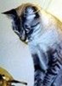 bway_baby Profile Photo