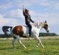 YukonLeeds Profile Photo