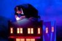 StephenGregory2 Profile Photo