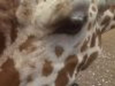 BenjaminNicholas Profile Photo