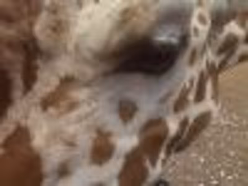 BenjaminNicholas profile photo