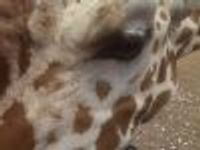 BenjaminNicholas Profile Photo