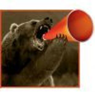 bearhorn Profile Photo