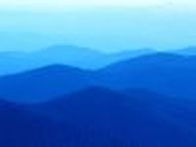 Susan4 Profile Photo