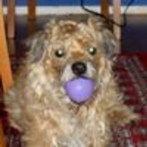 ElTico68 Profile Photo